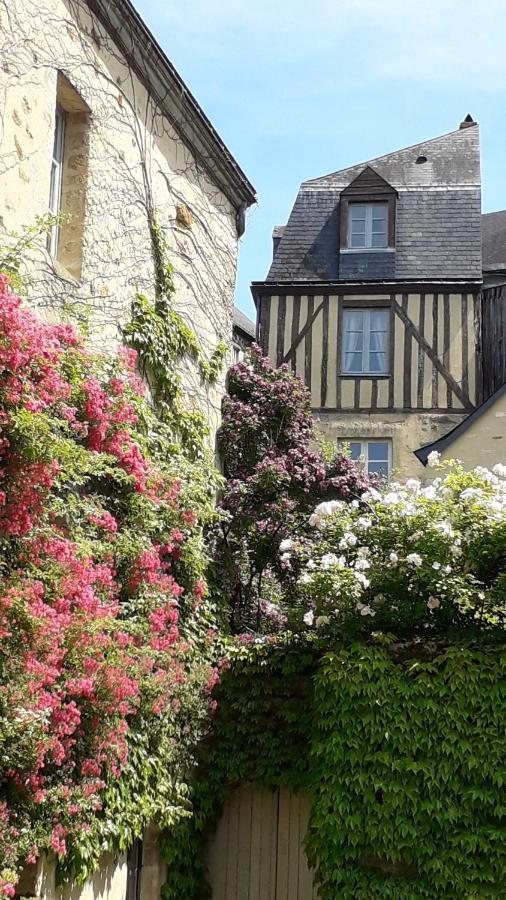 Petite Maison Romantique Au Calme, Coeur Historique Plantagenet, Vue Ville Le Mans Luaran gambar