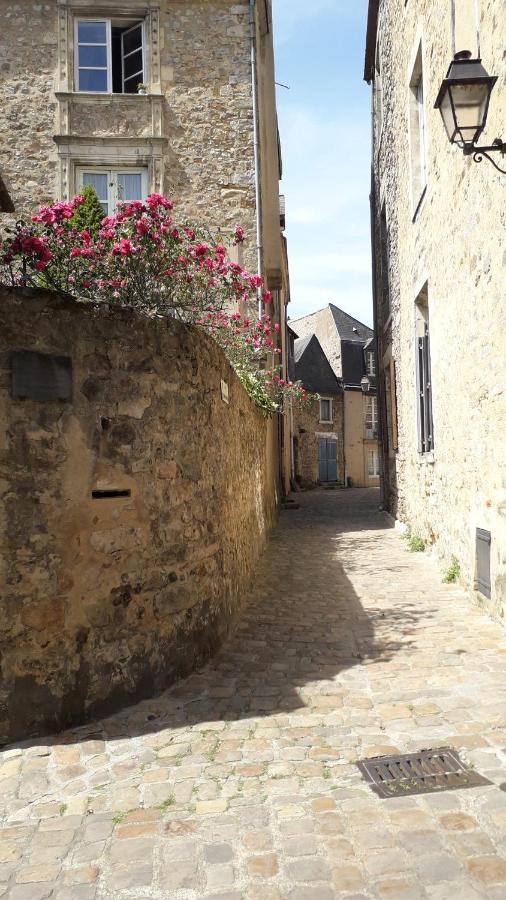 Petite Maison Romantique Au Calme, Coeur Historique Plantagenet, Vue Ville Le Mans Luaran gambar